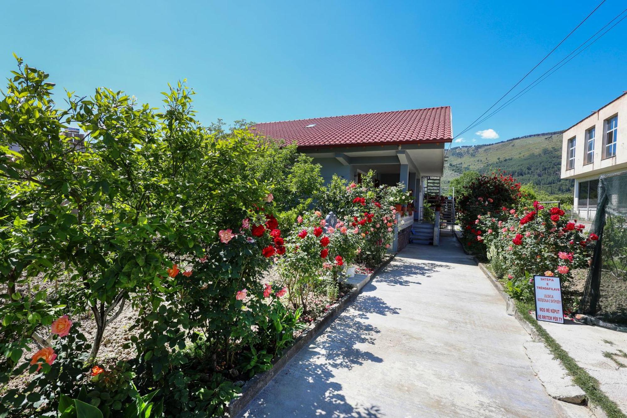 Samuela Cozy Retreat Villa Berat Ngoại thất bức ảnh