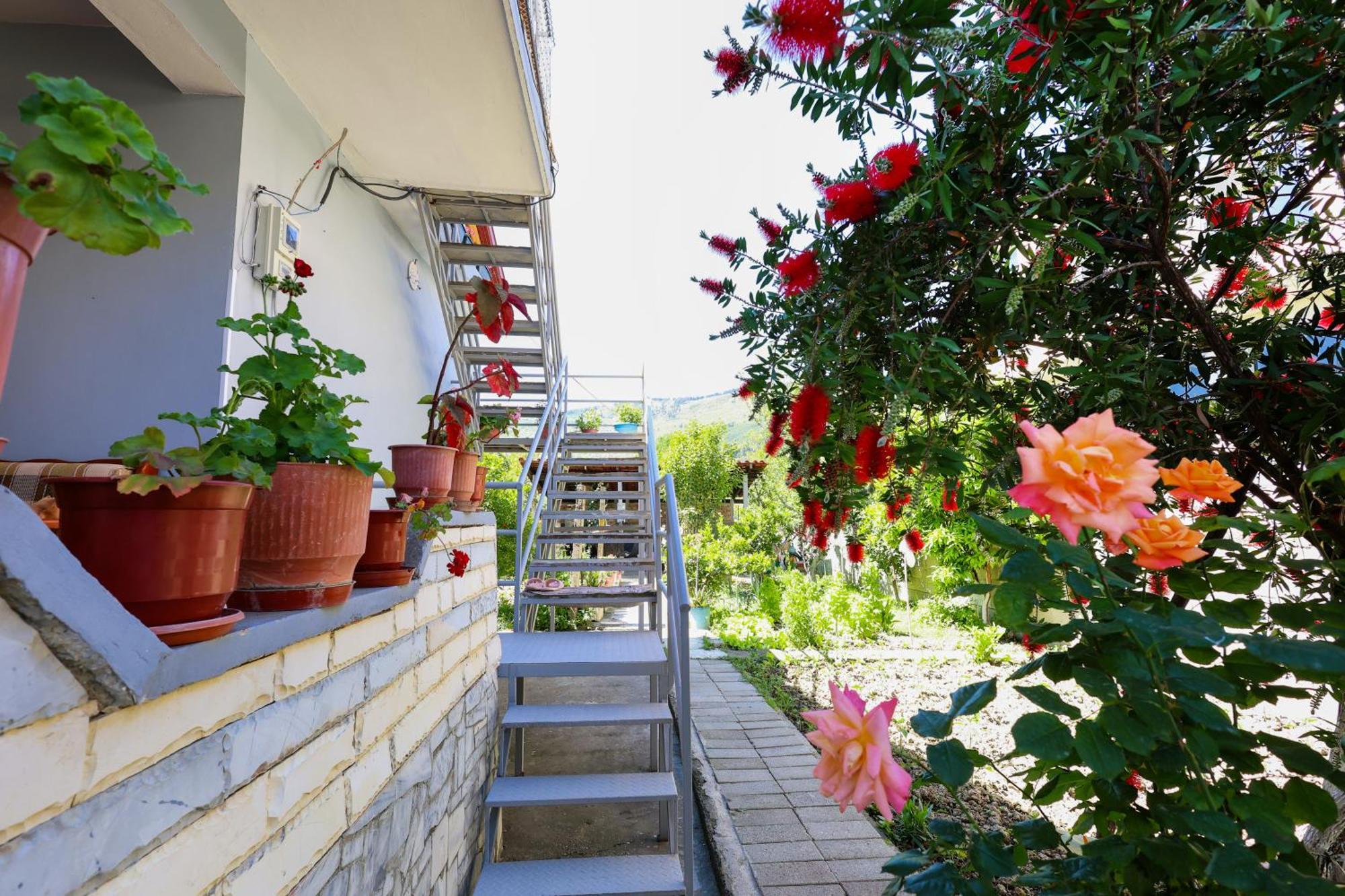 Samuela Cozy Retreat Villa Berat Ngoại thất bức ảnh