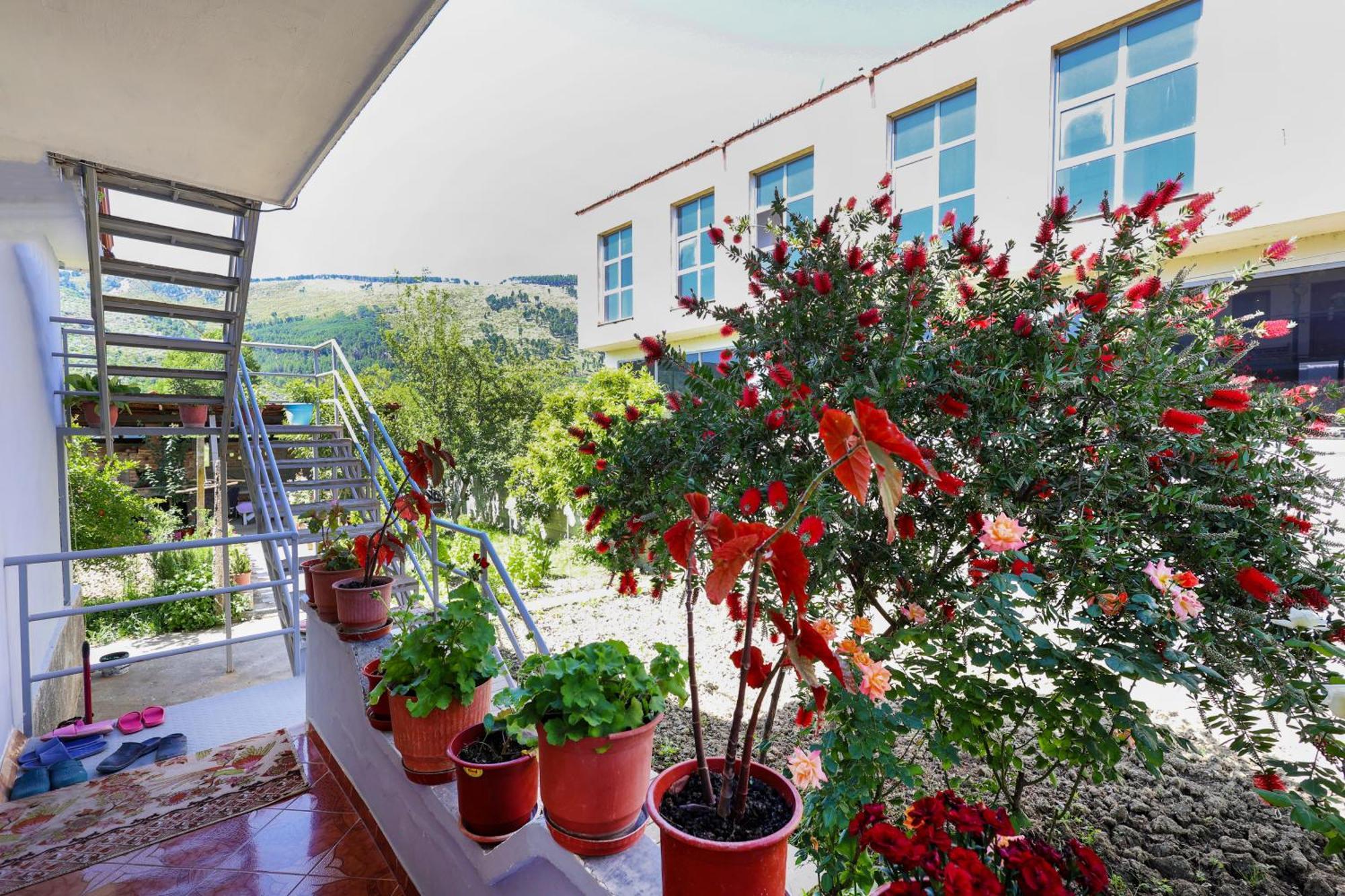 Samuela Cozy Retreat Villa Berat Ngoại thất bức ảnh