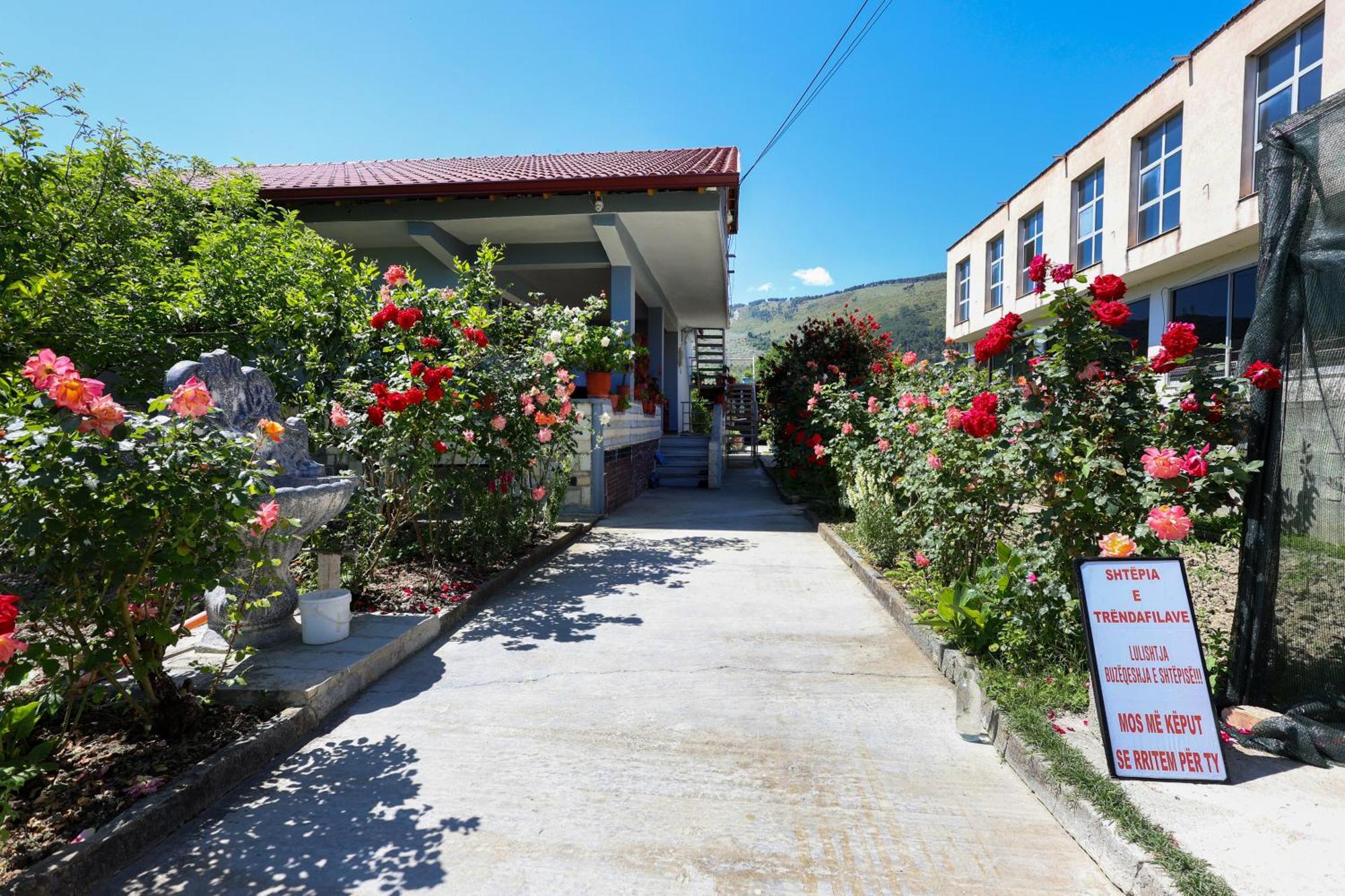 Samuela Cozy Retreat Villa Berat Ngoại thất bức ảnh